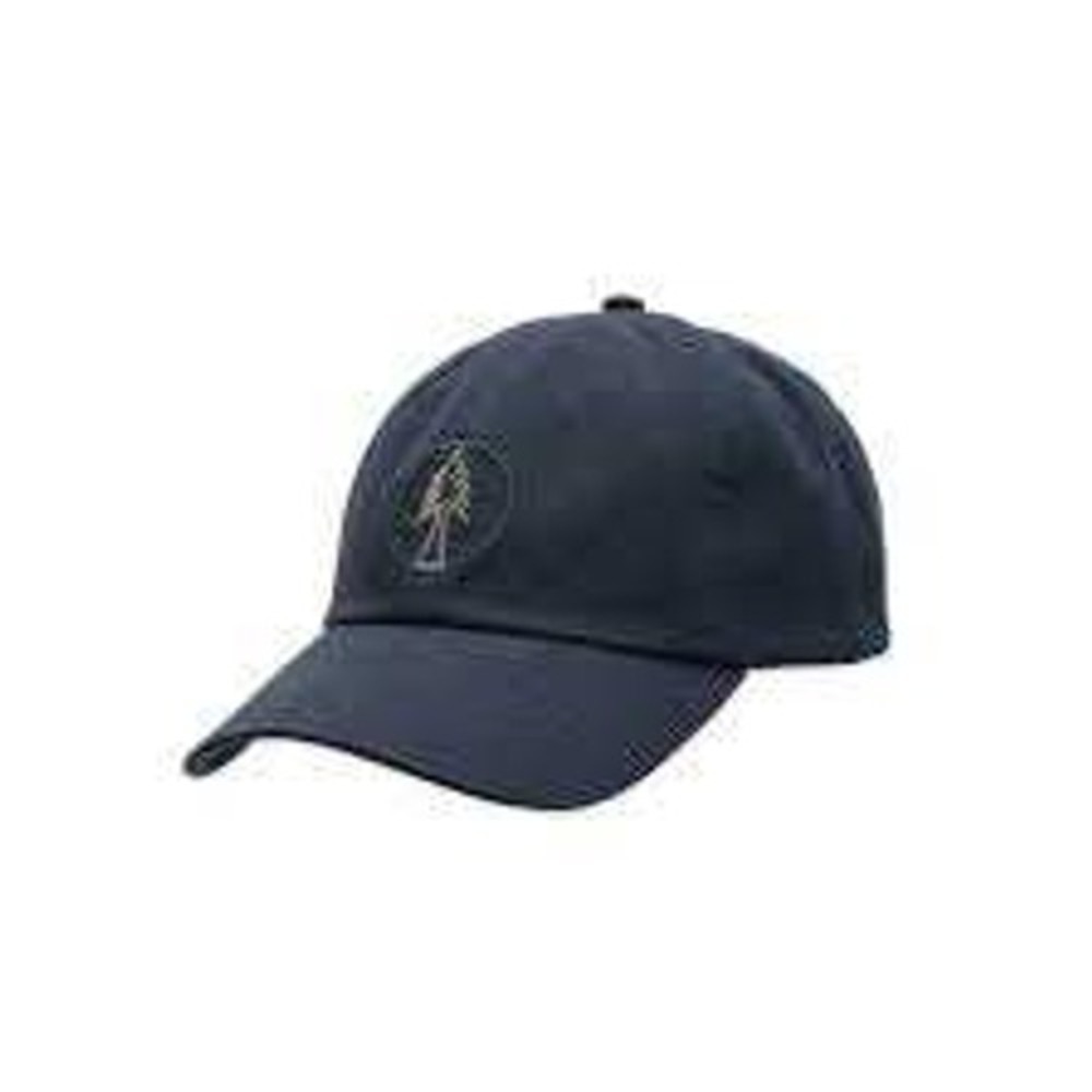 pistil Men's Jose Cap‎ in the color Ocean NWT Adjustable